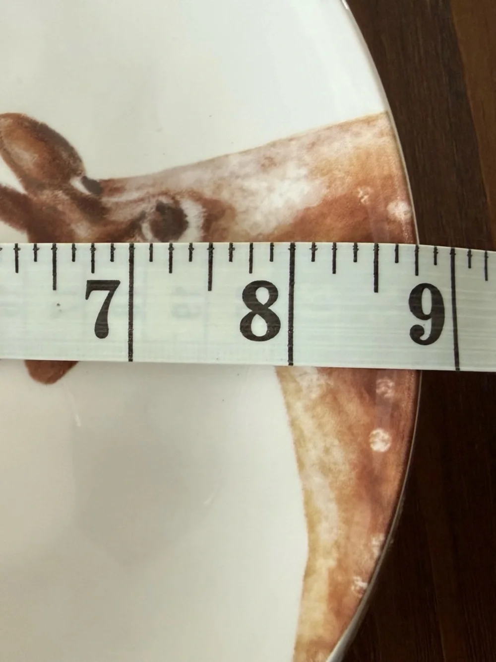 Pier 1 Imports Alexander salad plates
